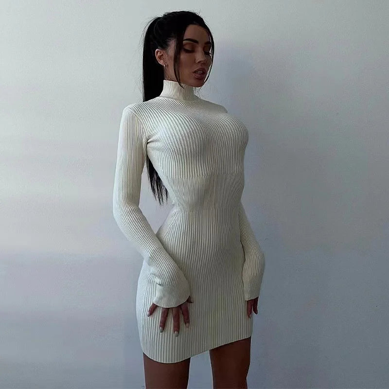 Robe mi-longue moulante à manches longues pour femme, nouvelle collection automne 2024, tricot, col roulé, élégante, couleur unie, slim
